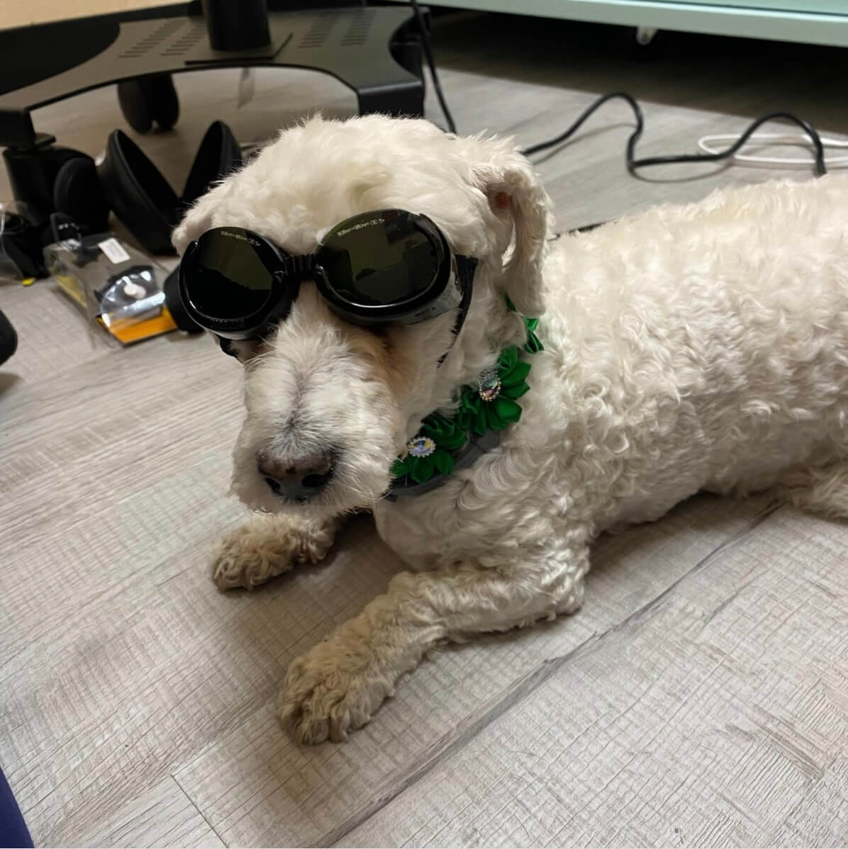 Laser Therapy