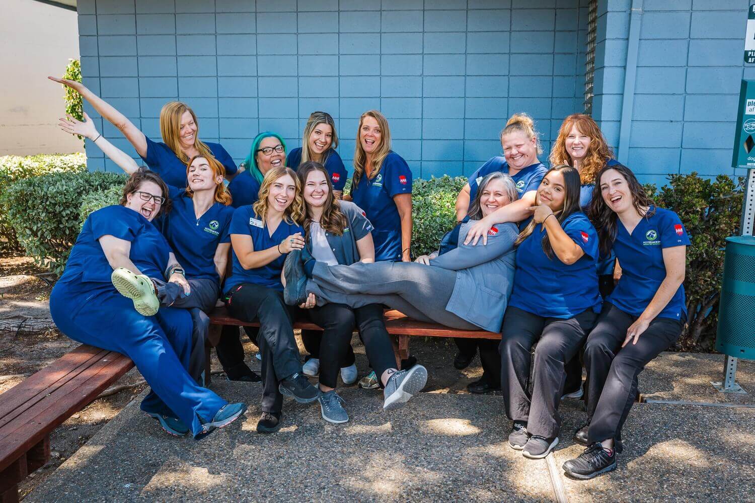 Veterinary hospital near me