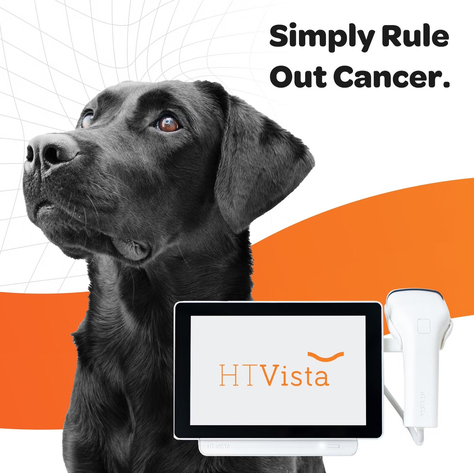 Cancer Detection Tool